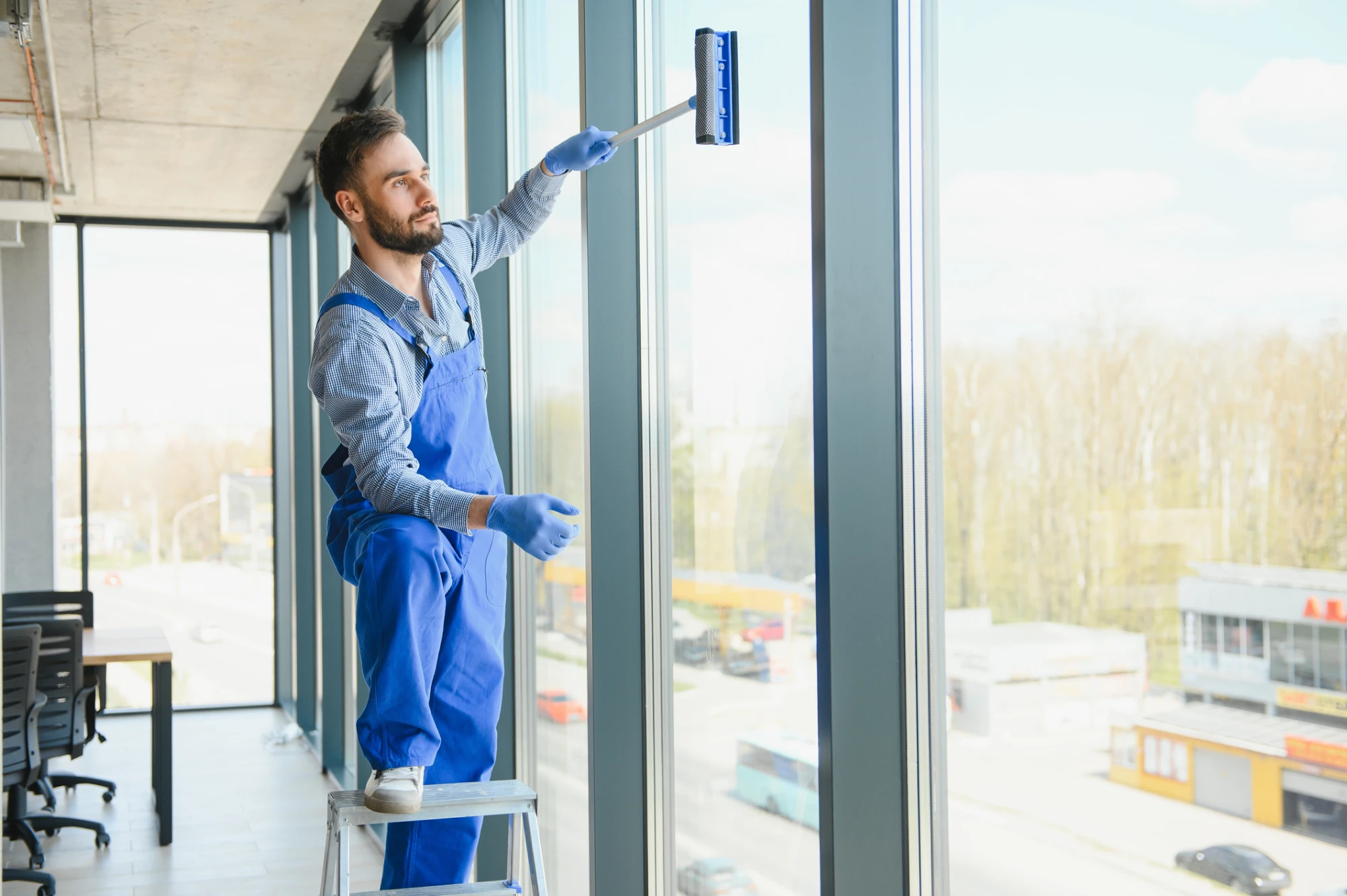 Professional Window Washing